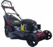 YANIS Borasco B56SLQ 1100499