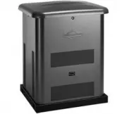 Briggs & Stratton G60 40494