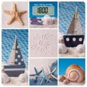 Scarlett SC - BS33E078