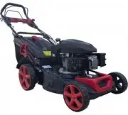 YANIS Borasco B46SLQ 1100498