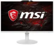 MSI PRO AP242 13M-290XRU