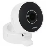 D-Link DCS-8100LH