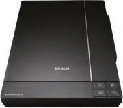 Epson PERFECTION V33