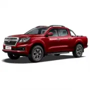 Dongfeng DF6 (2022 - нв)