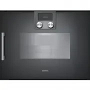 Gaggenau BSP 250-101