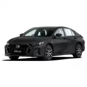 GAC Empow (2024 - нв)