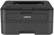 Brother HL-L2360DNR