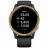 Garmin Venu Black/Gold (010-02173-33)