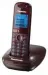 Panasonic KX-TG5511RUR