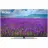 Haier 65 Smart TV AX Pro (DH1VW3D01RU)