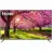 Haier 70 Smart TV HX